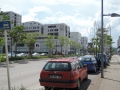 Ailanthus-altissima_Belval_2014-07-23_01
