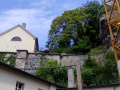 On the sandstone cliffs above n°11 Bisserweg (Grund district, Luxembourg City). Photo: C. Ries, 23 May 2018.