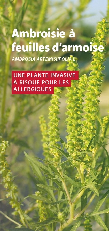 flyer-cover-fr