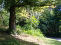 On the edge of the Plateau du Rham southeast of the former military canteen (Grund district, Luxembourg City). Photo: C. Ries, 22 August 2018.