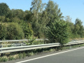In the median strip of Highway A1 near the port of Mertert. Photo: © Yves Krippel, 20200907,